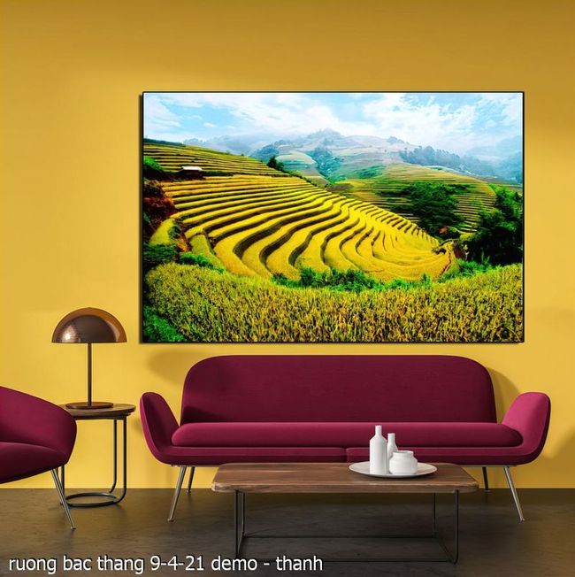 ruong bac thang 9 4 21  thanh 